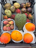 Tropical Fruit Variety Box