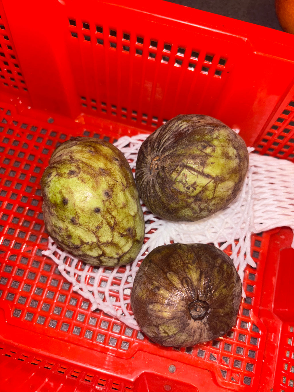 Custard Apple / Sweet Sop